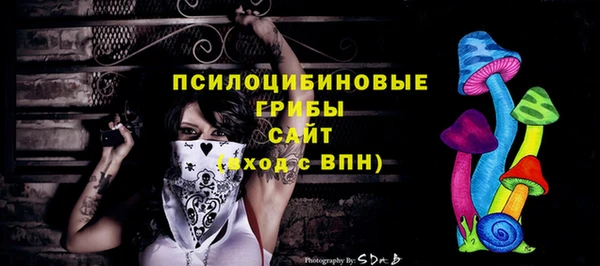 кокс Осташков